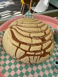 Mogolla Mexicana